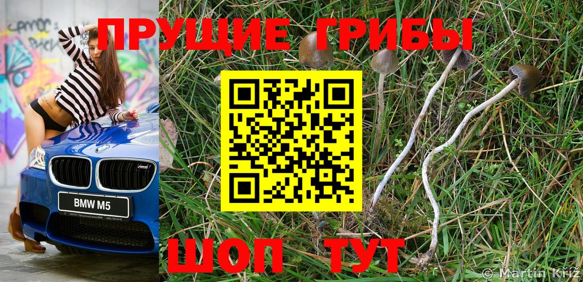 Псилоцибиновые грибы MAGIC MUSHROOMS  как найти закладки  Костомукша  Вход с VPN 